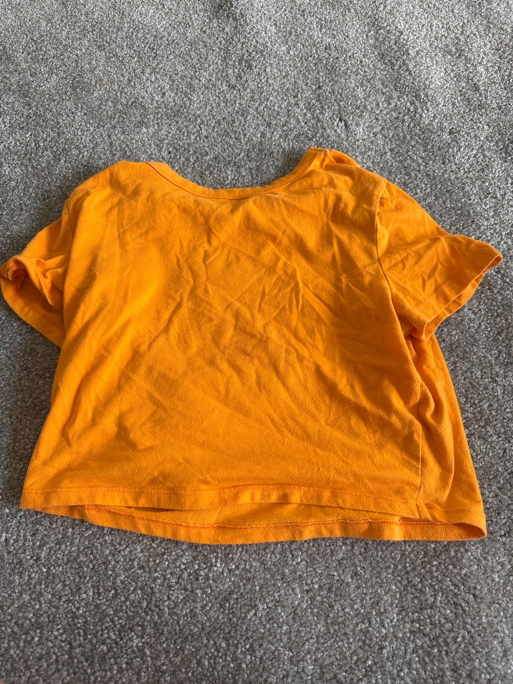 wild fable Orange Crewneck Tee
